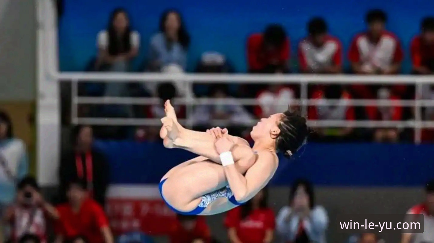 16岁小将蒋林静vs名将缺席：跳水世界杯总决赛的传承与突破